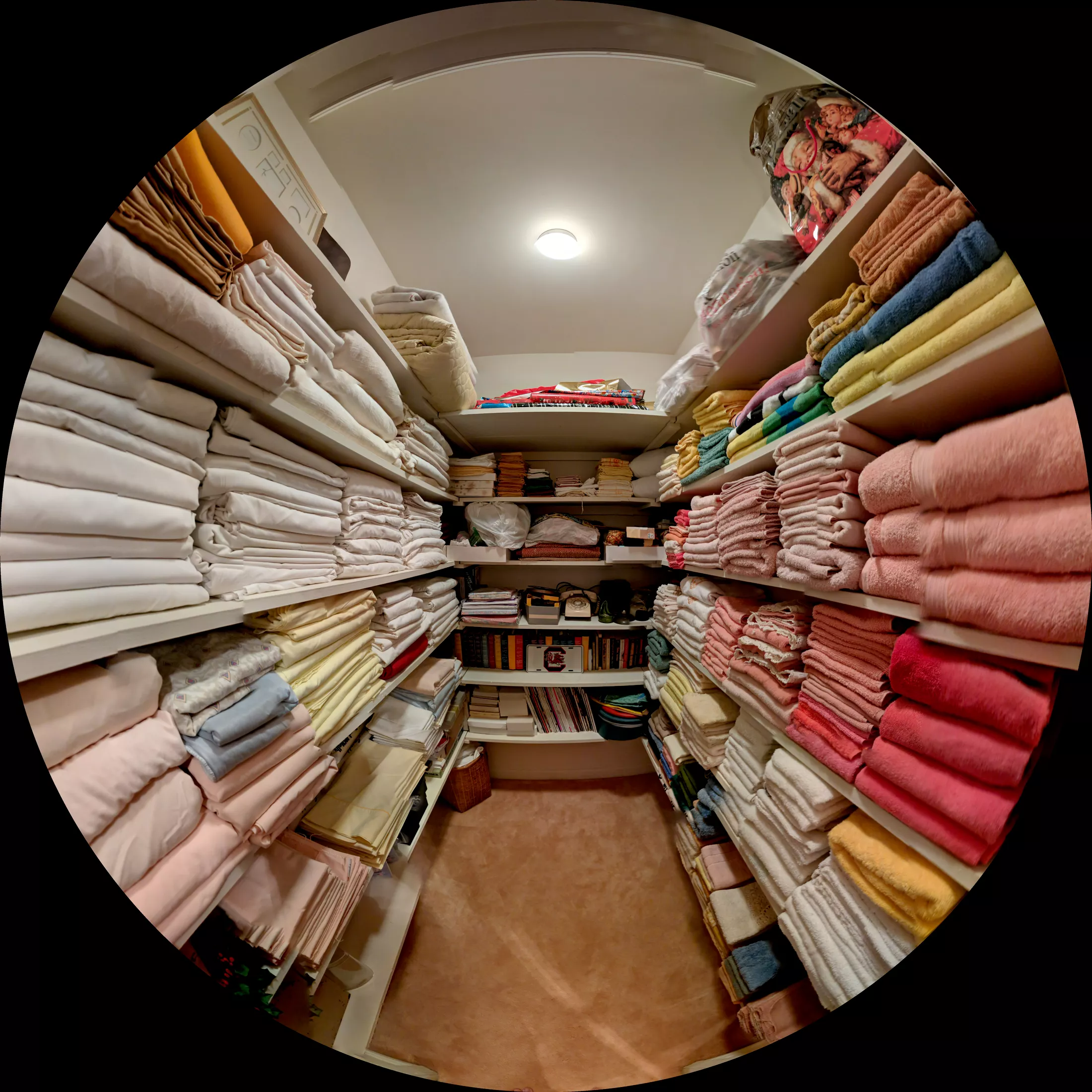 Closet organization detail